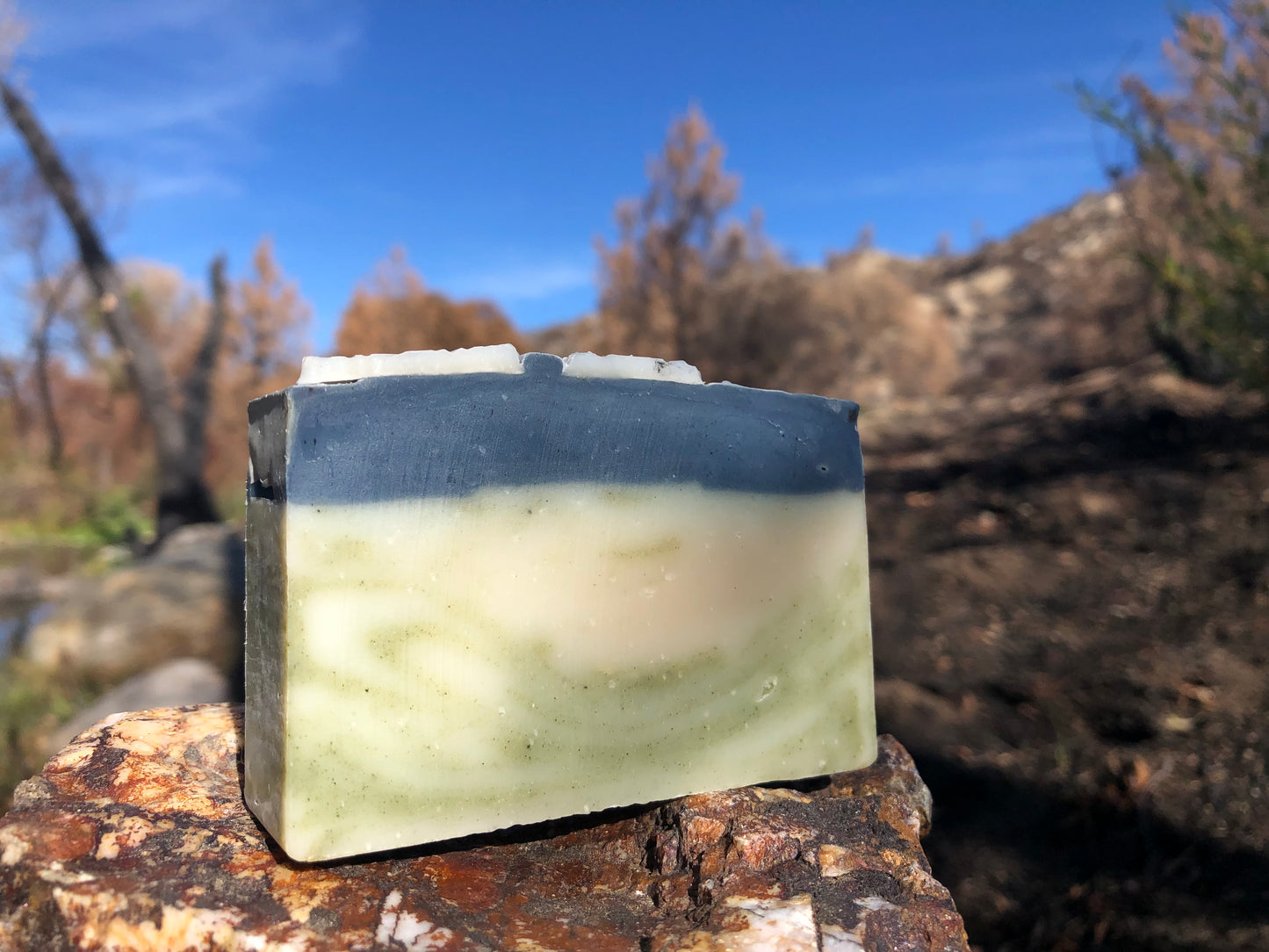Wonderland Bar Soap