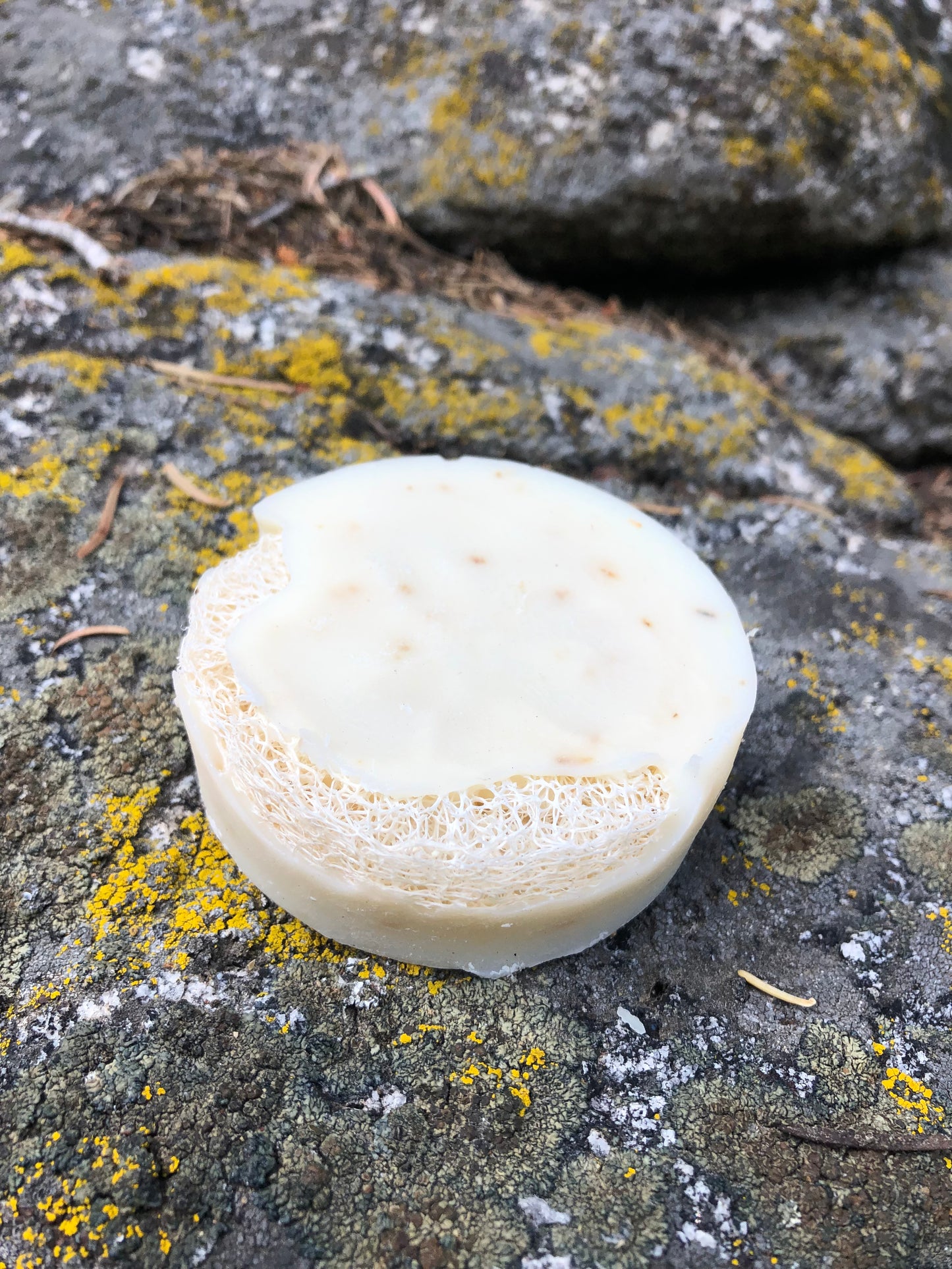 Pine and Rosemary Infused Bar Soap with Loofa