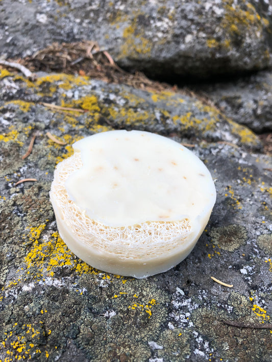 Pine and Rosemary Infused Bar Soap with Loofa