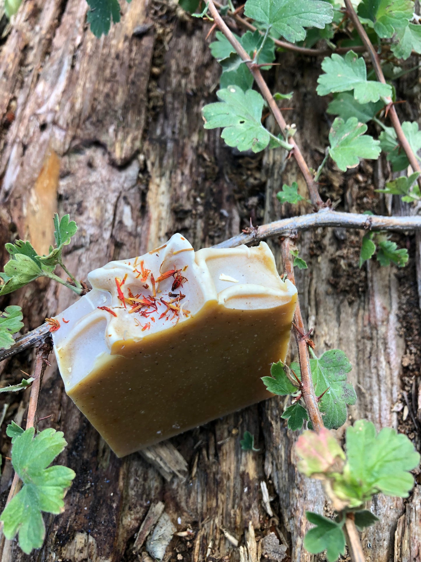 Mojave Sunrise Exfoliating Bar Soap