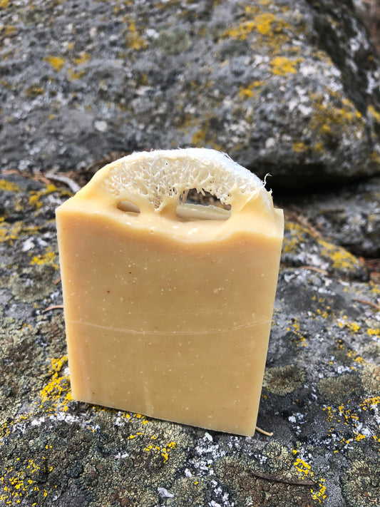 Sweet Orange and Loofa Bar Soap
