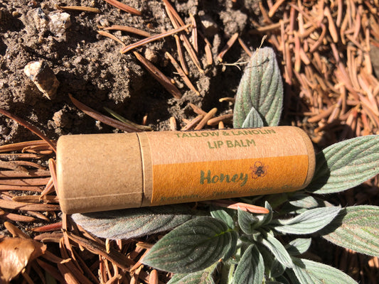 “Honey” Tallow & Lanolin Lip Balm with Honey